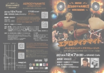 エアロダイナマイト - キックボクシング×クラブミュージック- 